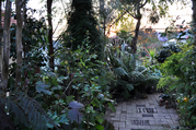 sunsetgarden1106.jpg