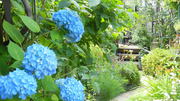 garden_004.jpg