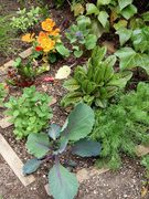 my-garden_012_28229_0.JPG