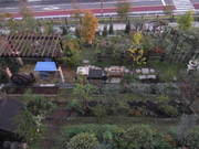 10Yue20noTing2020111025_010.jpg