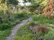 2011_0101bhana0009.JPG